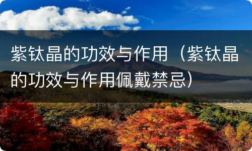 紫钛晶的功效与作用(紫钛晶的功效与作用佩戴禁忌)