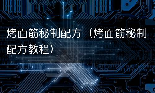 烤面筋秘制配方（烤面筋秘制配方教程）