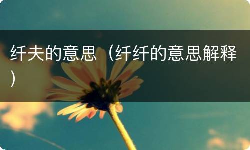 纤夫的意思（纤纤的意思解释）