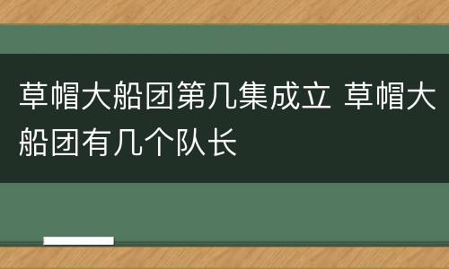 草帽大船团第几集成立 草帽大船团有几个队长
