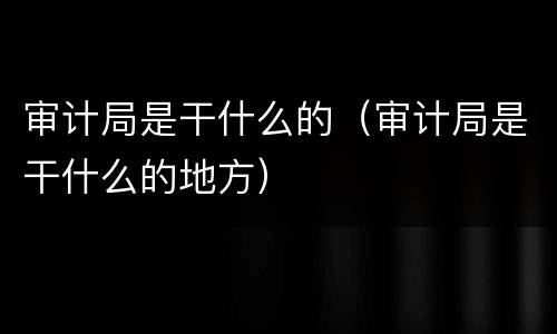 审计局是干什么的（审计局是干什么的地方）
