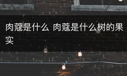 肉蔻是什么 肉蔻是什么树的果实