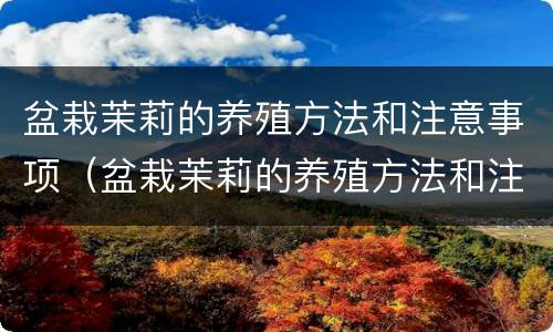 盆栽茉莉的养殖方法和注意事项（盆栽茉莉的养殖方法和注意事项修剪）
