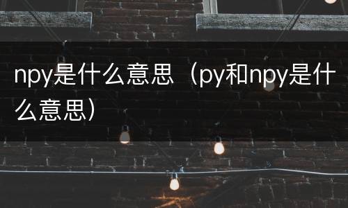 npy是什么意思（py和npy是什么意思）