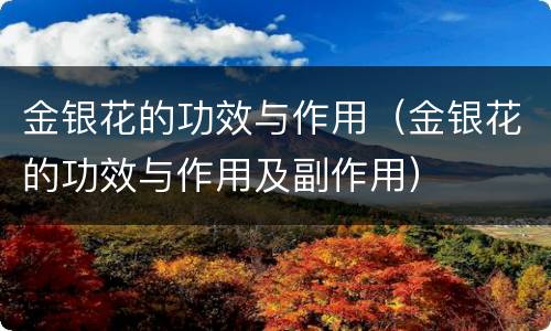 金银花的功效与作用（金银花的功效与作用及副作用）