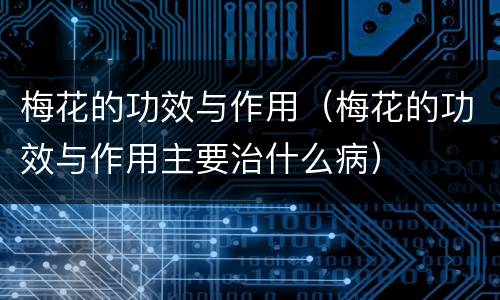 梅花的功效与作用（梅花的功效与作用主要治什么病）