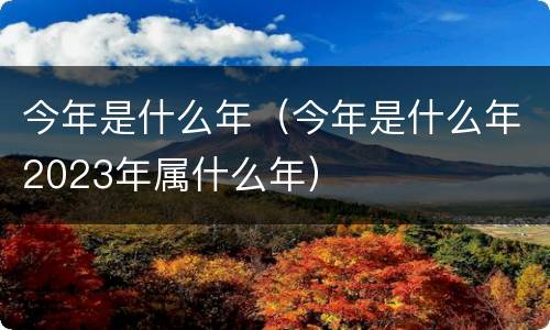 今年是什么年（今年是什么年2023年属什么年）