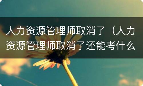 人力资源管理师取消了（人力资源管理师取消了还能考什么）