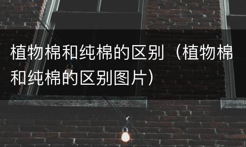 植物棉和纯棉的区别（植物棉和纯棉的区别图片）