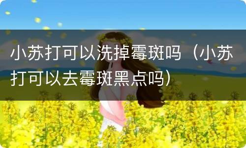 小苏打可以洗掉霉斑吗（小苏打可以去霉斑黑点吗）