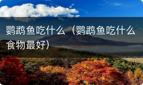 鹦鹉鱼吃什么（鹦鹉鱼吃什么食物最好）