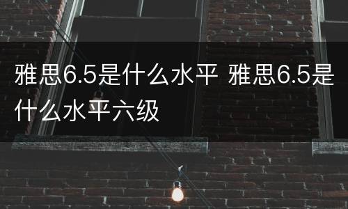 雅思6.5是什么水平 雅思6.5是什么水平六级