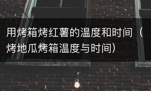 用烤箱烤红薯的温度和时间（烤地瓜烤箱温度与时间）
