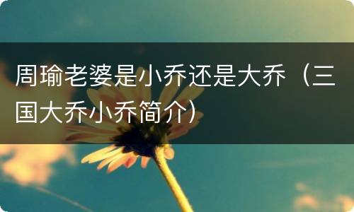 周瑜老婆是小乔还是大乔（三国大乔小乔简介）