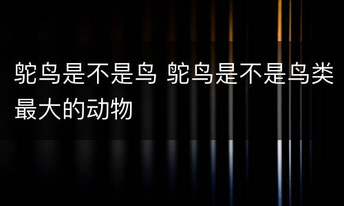 鸵鸟是不是鸟 鸵鸟是不是鸟类最大的动物