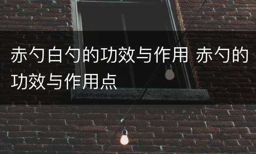 赤勺白勺的功效与作用 赤勺的功效与作用点