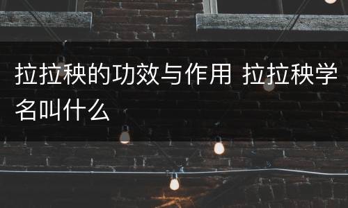 拉拉秧的功效与作用 拉拉秧学名叫什么