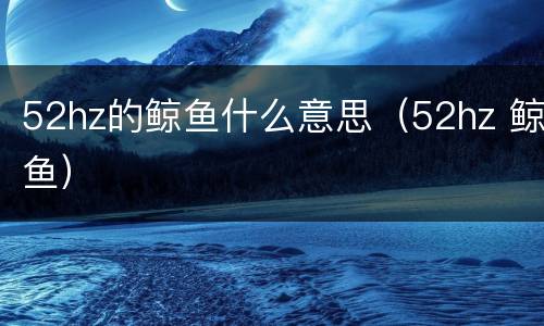 52hz的鲸鱼什么意思（52hz 鲸鱼）