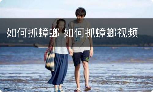 如何抓蟑螂 如何抓蟑螂视频