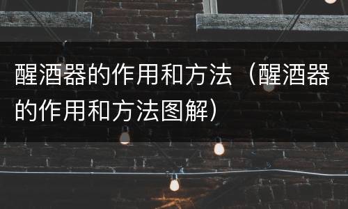 醒酒器的作用和方法（醒酒器的作用和方法图解）