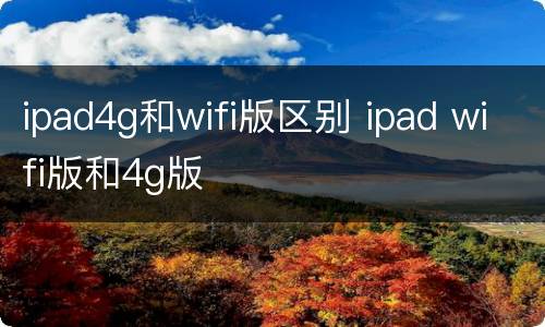 ipad4g和wifi版区别 ipad wifi版和4g版