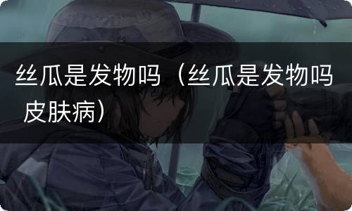 丝瓜是发物吗（丝瓜是发物吗 皮肤病）