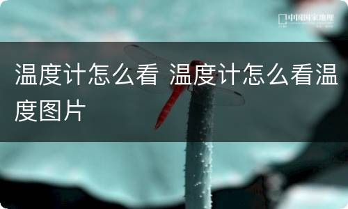 温度计怎么看 温度计怎么看温度图片