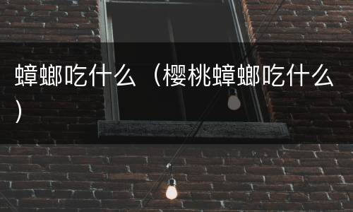 蟑螂吃什么（樱桃蟑螂吃什么）