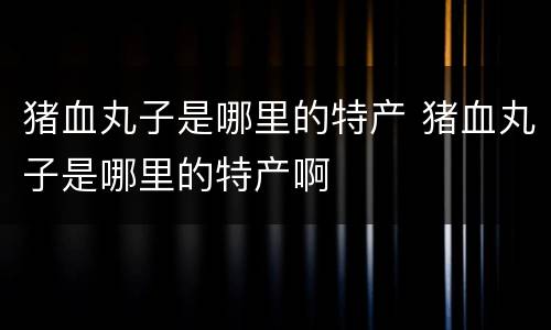 猪血丸子是哪里的特产 猪血丸子是哪里的特产啊