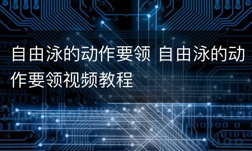 自由泳的动作要领 自由泳的动作要领视频教程
