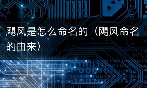飓风是怎么命名的（飓风命名的由来）