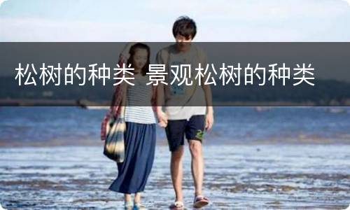 松树的种类 景观松树的种类