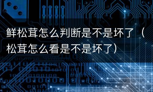 鲜松茸怎么判断是不是坏了（松茸怎么看是不是坏了）