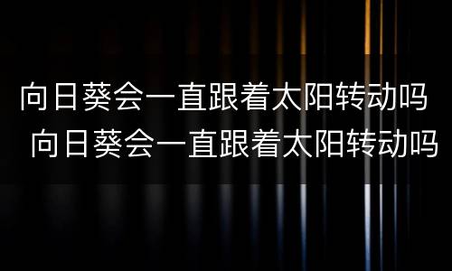 向日葵会一直跟着太阳转动吗 向日葵会一直跟着太阳转动吗为什么