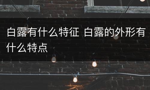 白露有什么特征 白露的外形有什么特点