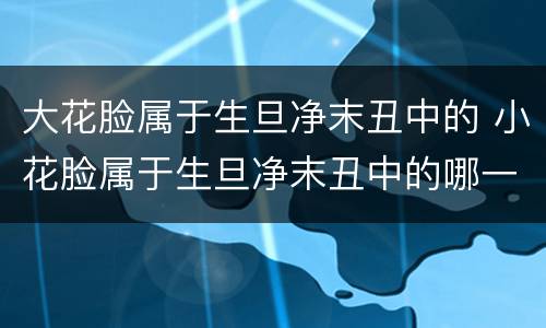 大花脸属于生旦净末丑中的 小花脸属于生旦净末丑中的哪一个
