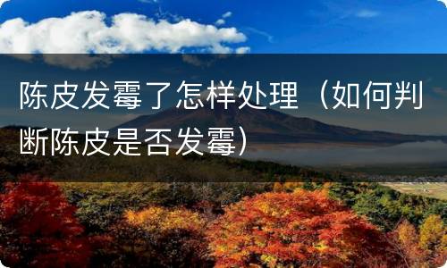 陈皮发霉了怎样处理（如何判断陈皮是否发霉）