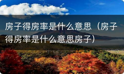 房子得房率是什么意思（房子得房率是什么意思房子）