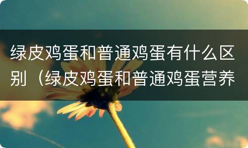 绿皮鸡蛋和普通鸡蛋有什么区别（绿皮鸡蛋和普通鸡蛋营养价值有什么不同）