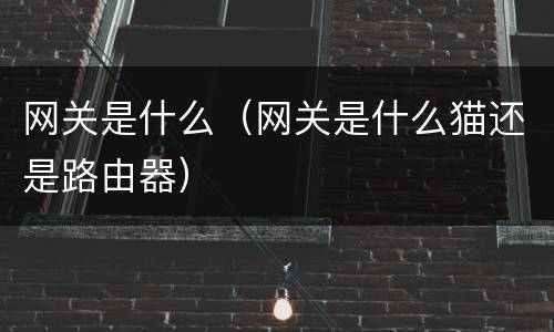 网关是什么（网关是什么猫还是路由器）