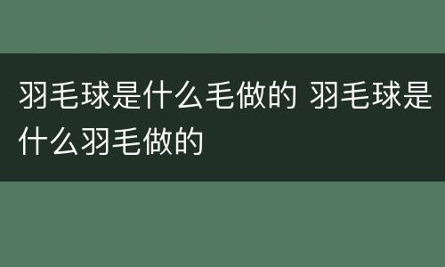 羽毛球是什么毛做的 羽毛球是什么羽毛做的