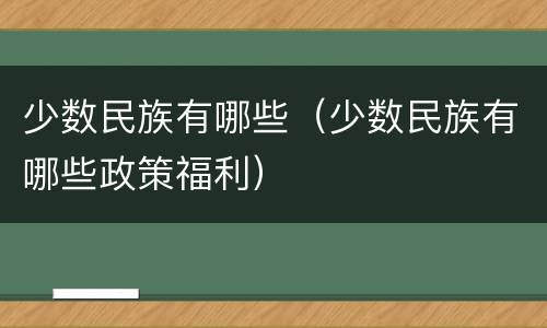 少数民族有哪些（少数民族有哪些政策福利）
