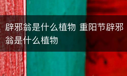 辟邪翁是什么植物 重阳节辟邪翁是什么植物