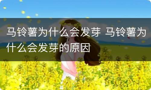 马铃薯为什么会发芽 马铃薯为什么会发芽的原因