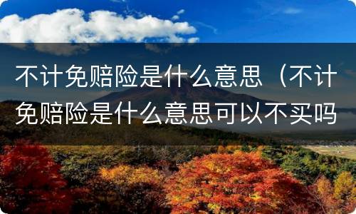 不计免赔险是什么意思（不计免赔险是什么意思可以不买吗）