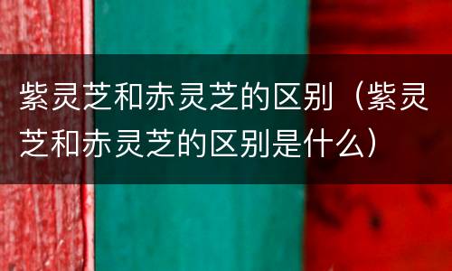 紫灵芝和赤灵芝的区别（紫灵芝和赤灵芝的区别是什么）