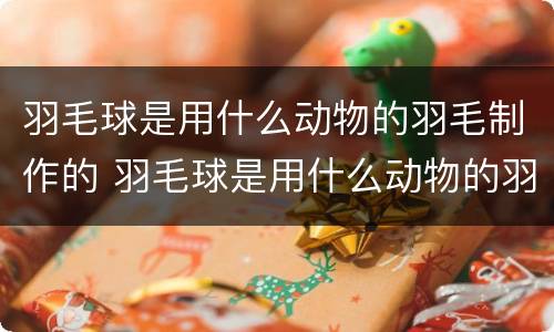 羽毛球是用什么动物的羽毛制作的 羽毛球是用什么动物的羽毛制作的英语