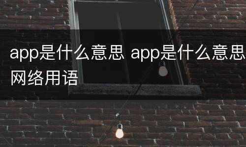 app是什么意思 app是什么意思网络用语