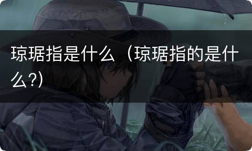 琼琚指是什么（琼琚指的是什么?）
