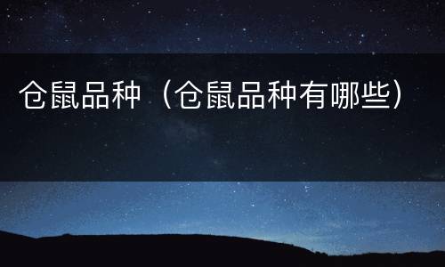 仓鼠品种（仓鼠品种有哪些）